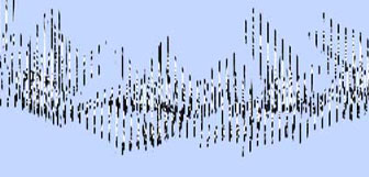 Kinegram Flying Birds