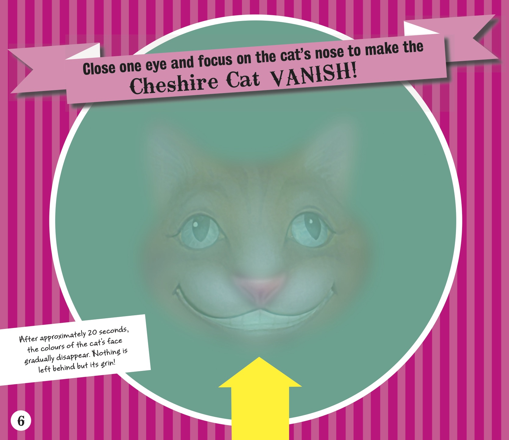 The Cheshire Cat
